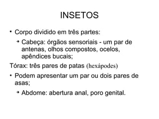 INSETOS

Corpo dividido em três partes:

Cabeça: órgãos sensoriais - um par de
antenas, olhos compostos, ocelos,
apêndices bucais;
Tórax: três pares de patas (hexápodes)
• Podem apresentar um par ou dois pares de
asas;

Abdome: abertura anal, poro genital.
 