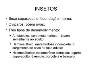 INSETOS

Sexo separados e fecundação interna;

Ovíparos: põem ovos;

Três tipos de desenvolvimento:

Ametábolos: sem metamorfose – jovem
semelhante ao adulto.

Hemimetábolo: metamorfose incompleta: o
surgimento de asas na fase adulta;

Holometábolos: metamorfose completa: lagarta-
pupa-adulto. Exemplo: borboleta e besouro.
 