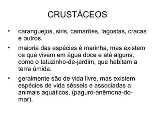 CRUSTÁCEOS
• caranguejos, siris, camarões, lagostas, cracas
e outros.
• maioria das espécies é marinha, mas existem
os que vivem em água doce e até alguns,
como o tatuzinho-de-jardim, que habitam a
terra úmida.
• geralmente são de vida livre, mas existem
espécies de vida sésseis e associadas a
animais aquáticos, (paguro-anêmona-do-
mar).
 