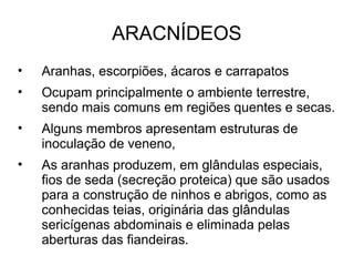 ARACNÍDEOS
• Aranhas, escorpiões, ácaros e carrapatos
• Ocupam principalmente o ambiente terrestre,
sendo mais comuns em regiões quentes e secas.
• Alguns membros apresentam estruturas de
inoculação de veneno,
• As aranhas produzem, em glândulas especiais,
fios de seda (secreção proteica) que são usados
para a construção de ninhos e abrigos, como as
conhecidas teias, originária das glândulas
sericígenas abdominais e eliminada pelas
aberturas das fiandeiras.
 
