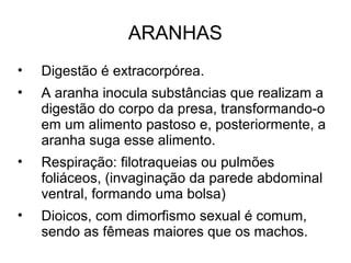 ARANHAS
• Digestão é extracorpórea.
• A aranha inocula substâncias que realizam a
digestão do corpo da presa, transformando-o
em um alimento pastoso e, posteriormente, a
aranha suga esse alimento.
• Respiração: filotraqueias ou pulmões
foliáceos, (invaginação da parede abdominal
ventral, formando uma bolsa)
• Dioicos, com dimorfismo sexual é comum,
sendo as fêmeas maiores que os machos.
 