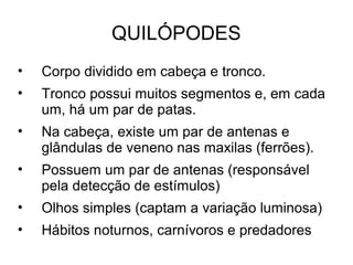 QUILÓPODES
• Corpo dividido em cabeça e tronco.
• Tronco possui muitos segmentos e, em cada
um, há um par de patas.
• Na cabeça, existe um par de antenas e
glândulas de veneno nas maxilas (ferrões).
• Possuem um par de antenas (responsável
pela detecção de estímulos)
• Olhos simples (captam a variação luminosa)
• Hábitos noturnos, carnívoros e predadores
 