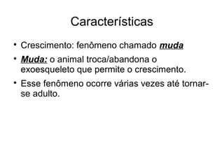 Características

Crescimento: fenômeno chamado muda

Muda: o animal troca/abandona o
exoesqueleto que permite o crescimento.

Esse fenômeno ocorre várias vezes até tornar-
se adulto.
 