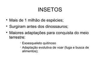 INSETOS

Mais de 1 milhão de espécies;

Surgiram antes dos dinossauros;

Maiores adaptações para conquista do meio
terrestre:

Exoesqueleto quitinoso

Adaptação evolutiva de voar (fuga e busca de
alimentos);
 