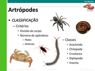 Artrópodes 
Artrópodes 
• CLASSIFICAÇÃO 
– Critérios 
• Divisão do corpo 
• Número de apêndices 
– Patas 
– Antenas 
– Classes 
• Arachnida 
• Chilopoda 
• Crustacea 
• Diplopoda 
• Insecta 
Ciências – 7º ano Ens. Fundamental 3º Bimestre Profa. Rebeca Vale 
 