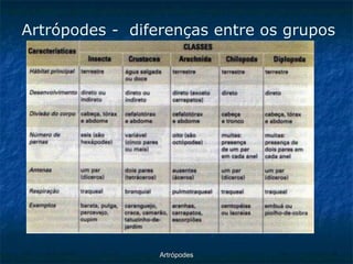 ArtrópodesArtrópodes -diferenças entre os grupos  