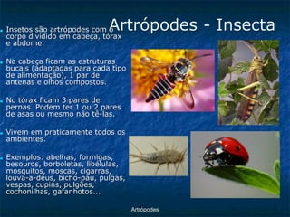ArtrópodesArtrópodes -Insecta■Insetos são artrópodes com o corpo dividido em cabeça, tórax e abdome. ■Na cabeça ficam as estruturas bucais (adaptadas para cada tipo de alimentação), 1 par de antenas e olhos compostos. ■No tórax ficam 3 pares de pernas. Podem ter 1 ou 2 pares de asas ou mesmo não tê-las. ■Vivem em praticamente todos os ambientes. ■Exemplos: abelhas, formigas, besouros, borboletas, libélulas, mosquitos, moscas, cigarras, louva-a-deus, bicho-pau, pulgas, vespas, cupins, pulgões, cochonilhas, gafanhotos...  