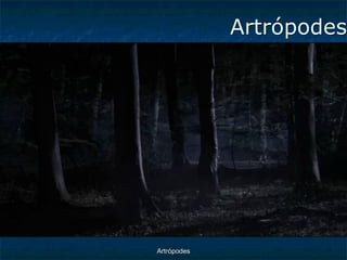 ArtrópodesArtrópodes  