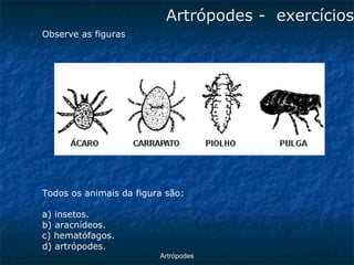ArtrópodesArtrópodes -exercícios 
Observe as figuras 
Todos os animais da figura são: 
a) insetos. 
b) aracnídeos. 
c) hematófagos. 
d) artrópodes.  