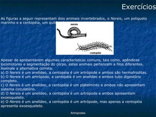 ArtrópodesExercícios 
As figuras a seguir representam dois animais invertebrados, o Nereis, um poliqueto marinho e a centopéia, um quilópode terrestre. 
Apesar de apresentarem algumas características comuns, tais como, apêndices 
locomotores e segmentação do corpo, estes animais pertencem a filos diferentes. 
Assinale a alternativa correta. 
a) O Nereis é um anelídeo, a centopéia é um artrópode e ambos são hermafroditas. 
b) O Nereis é um artrópode, a centopéia é um anelídeo e ambos tubo digestório completo. 
c) O Nereis é um anelídeo, a centopéia é um platelminto e ambos não apresentam 
sistema circulatório. 
d) O Nereis é um anelídeo, a centopéia é um artrópode e ambos apresentam 
exoesqueleto. 
e) O Nereis é um anelídeo, a centopéia é um artrópode, mas apenas a centopéia 
apresenta exoesqueleto.  