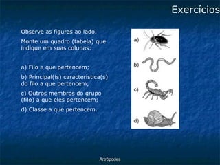 ArtrópodesExercícios 
Observe as figuras ao lado. 
Monte um quadro (tabela) que indique em suas colunas: 
a) Filo a que pertencem; 
b) Principal(is) característica(s) do filo a que pertencem; 
c) Outros membros do grupo (filo) a que eles pertencem; 
d) Classe a que pertencem.  