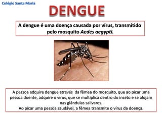 A dengue é uma doença causada por vírus, transmitido
pelo mosquito Aedes aegypti.
A pessoa adquire dengue através da fêmea do mosquito, que ao picar uma
pessoa doente, adquire o vírus, que se multiplica dentro do inseto e se alojam
nas glândulas salivares.
Ao picar uma pessoa saudável, a fêmea transmite o vírus da doença.
 