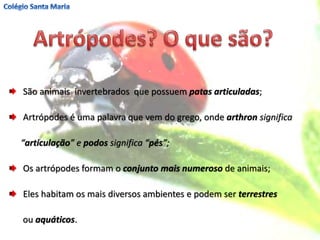 São animais invertebrados que possuem patas articuladas;
Artrópodes é uma palavra que vem do grego, onde arthron significa
“articulação” e podos significa “pés”;
Os artrópodes formam o conjunto mais numeroso de animais;
Eles habitam os mais diversos ambientes e podem ser terrestres
ou aquáticos.
 