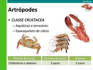 Ciências – 7º ano Ens. Fundamental 3º Bimestre Profa. Rebeca Vale
Artrópodes
Artrópodes
• CLASSE CRUSTACEA
– Aquáticos e terrestres
– Exoesqueleto de cálcio
Divisão do corpo
Cefalotórax e abdome
Número de patas
5 pares
Antenas
2 pares
 