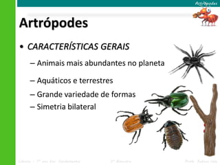 Ciências – 7º ano Ens. Fundamental 3º Bimestre Profa. Rebeca Vale
Artrópodes
• CARACTERÍSTICAS GERAIS
– Animais mais abundantes no planeta
– Aquáticos e terrestres
– Grande variedade de formas
– Simetria bilateral
Artrópodes
 