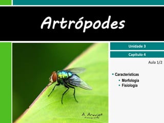 Aula 1/2
 Características
 Morfologia
 Fisiologia
Unidade 3
Capítulo 4
Artrópodes
 