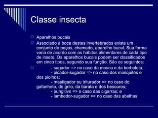 Classe insecta
 Aparelhos bucais
 Associado à boca destes invertebrados existe um
conjunto de peças, chamado, aparelho bucal. Sua forma
varia de acordo com os hábitos alimentares de cada tipo
de inseto. Os aparelhos bucais podem ser classificados
em cinco tipos, segundo sua função. São os seguintes:
 - sugador => no caso da mosca e da borboleta;
- picador-sugador => no caso dos mosquitos e
dos piolhos;
- mastigador ou triturador => no caso do
gafanhoto, do grilo, da barata e dos besouros;
- pungitivo => o caso das cigarras; e
- lambedor-sugador => no caso das abelhas.
 