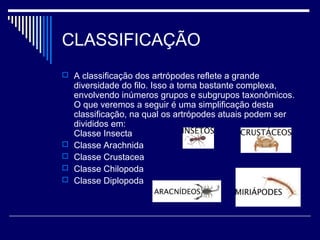 CLASSIFICAÇÃO
 A classificação dos artrópodes reflete a grande
diversidade do filo. Isso a torna bastante complexa,
envolvendo inúmeros grupos e subgrupos taxonômicos.
O que veremos a seguir é uma simplificação desta
classificação, na qual os artrópodes atuais podem ser
divididos em:
Classe Insecta
 Classe Arachnida
 Classe Crustacea
 Classe Chilopoda
 Classe Diplopoda
 