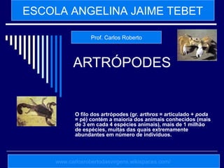 ARTRÓPODES
O filo dos artrópodes (gr. arthros = articulado + poda
= pé) contém a maioria dos animais conhecidos (mais
de 3 em cada 4 espécies animais), mais de 1 milhão
de espécies, muitas das quais extremamente
abundantes em número de indivíduos.
ESCOLA ANGELINA JAIME TEBET
www.carlosrobertodasvirgens.wikispaces.com/
Prof. Carlos Roberto
 