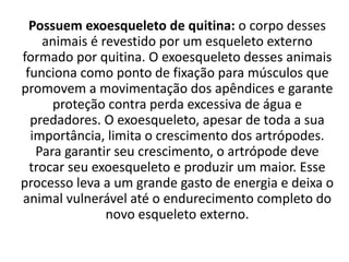 Possuem exoesqueleto de quitina: o corpo desses
animais é revestido por um esqueleto externo
formado por quitina. O exoesqueleto desses animais
funciona como ponto de fixação para músculos que
promovem a movimentação dos apêndices e garante
proteção contra perda excessiva de água e
predadores. O exoesqueleto, apesar de toda a sua
importância, limita o crescimento dos artrópodes.
Para garantir seu crescimento, o artrópode deve
trocar seu exoesqueleto e produzir um maior. Esse
processo leva a um grande gasto de energia e deixa o
animal vulnerável até o endurecimento completo do
novo esqueleto externo.
 