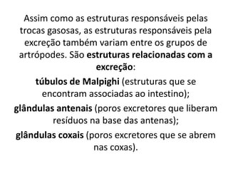 Assim como as estruturas responsáveis pelas
trocas gasosas, as estruturas responsáveis pela
excreção também variam entre os grupos de
artrópodes. São estruturas relacionadas com a
excreção:
túbulos de Malpighi (estruturas que se
encontram associadas ao intestino);
glândulas antenais (poros excretores que liberam
resíduos na base das antenas);
glândulas coxais (poros excretores que se abrem
nas coxas).
 