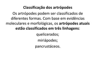 Classificação dos artrópodes
Os artrópodes podem ser classificados de
diferentes formas. Com base em evidências
moleculares e morfológicas, os artrópodes atuais
estão classificados em três linhagens:
quelicerados;
miriápodes;
pancrustáceos.
 