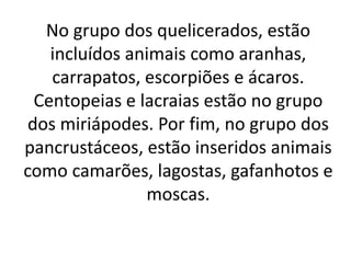 No grupo dos quelicerados, estão
incluídos animais como aranhas,
carrapatos, escorpiões e ácaros.
Centopeias e lacraias estão no grupo
dos miriápodes. Por fim, no grupo dos
pancrustáceos, estão inseridos animais
como camarões, lagostas, gafanhotos e
moscas.
 