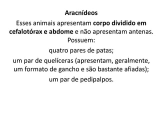 Aracnídeos
Esses animais apresentam corpo dividido em
cefalotórax e abdome e não apresentam antenas.
Possuem:
quatro pares de patas;
um par de quelíceras (apresentam, geralmente,
um formato de gancho e são bastante afiadas);
um par de pedipalpos.
 