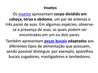 Insetos
Os insetos apresentam corpo dividido em
cabeça, tórax e abdome, um par de antenas e
três pares de asas. Em algumas espécies, observa-
se a presença de asas, as quais podem ser
encontradas em um ou dois pares.
Também apresentam peças bucais adaptadas aos
diferentes tipos de alimentação que possuem,
sendo possível distinguir, por exemplo, aparelhos
bucais sugadores, mastigadores e lambedores.
 