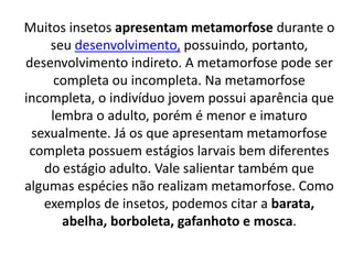 Muitos insetos apresentam metamorfose durante o
seu desenvolvimento, possuindo, portanto,
desenvolvimento indireto. A metamorfose pode ser
completa ou incompleta. Na metamorfose
incompleta, o indivíduo jovem possui aparência que
lembra o adulto, porém é menor e imaturo
sexualmente. Já os que apresentam metamorfose
completa possuem estágios larvais bem diferentes
do estágio adulto. Vale salientar também que
algumas espécies não realizam metamorfose. Como
exemplos de insetos, podemos citar a barata,
abelha, borboleta, gafanhoto e mosca.
 