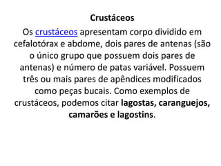 Crustáceos
Os crustáceos apresentam corpo dividido em
cefalotórax e abdome, dois pares de antenas (são
o único grupo que possuem dois pares de
antenas) e número de patas variável. Possuem
três ou mais pares de apêndices modificados
como peças bucais. Como exemplos de
crustáceos, podemos citar lagostas, caranguejos,
camarões e lagostins.
 
