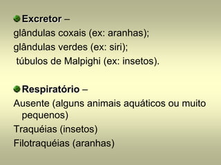 Excretor –
glândulas coxais (ex: aranhas);
glândulas verdes (ex: siri);
túbulos de Malpighi (ex: insetos).

  Respiratório –
Ausente (alguns animais aquáticos ou muito
  pequenos)
Traquéias (insetos)
Filotraquéias (aranhas)
 
