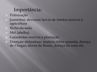 Importância:
 Polinização
 Joaninhas: devoram larvas de insetos nocivos à
agricultura
 Bicho-da-seda
 Mel (abelha).
 Gafanhotos nocivos à plantação
 Doenças: elefantíase, malária, febre amarela, doença
de Chagas, úlcera de Bauru, doença do sono etc.
 