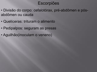 Escorpiões
• Divisão do corpo: cefalotórax, pré-abdômen e pós-
abdômen ou cauda
• Quelíceras: trituram o alimento
• Pedipalpos: seguram as presas
• Aguilhão(inoculam o veneno)
 