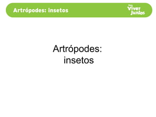 Artrópodes:
insetos
 