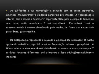 • Os quilópodes a sua reprodução é sexuada com os sexos separados,
existindo frequentemente cuidados parentais prolongados. A fecundação é
interna, com o macho a transferir espermatozóide para o corpo da fêmea de
uma forma muito semelhante à dos aracnídeos . Em outros casos, o
espermatozóide é apenas abandonado pelo macho, de forma ser encontrado
pela fêmea, que o recolhe.
• Os diplópodes a reprodução é sexuada e os sexos são separados. O macho
apresenta apêndices especializados na fecundação interna – gonopódos. A
fêmea coloca os ovos num "ninho" no solo e as crias passam por 7
estádios larvares diferentes até atingirem a fase adulta(Desenvolvimento
indireto)
 