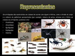 Os artrópodes são subdivididos em classes de acordo com alguns critérios, como a divisão do corpo
e o número de apêndices apresentados (por exemplo: número de patas, antenas etc.). Entre as
classes de artrópodes, podemos citar:
• Crustáceos
• Aracnídeos
• Quilópodes
• Diplópodes
• Insetos.
 