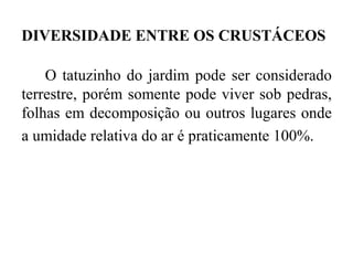 DIVERSIDADE ENTRE OS CRUSTÁCEOS

    O tatuzinho do jardim pode ser considerado
terrestre, porém somente pode viver sob pedras,
folhas em decomposição ou outros lugares onde
a umidade relativa do ar é praticamente 100%.
 