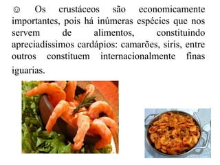 ☺ Os crustáceos são economicamente
importantes, pois há inúmeras espécies que nos
servem       de     alimentos,     constituindo
apreciadíssimos cardápios: camarões, siris, entre
outros constituem internacionalmente finas
iguarias.
 