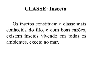 CLASSE: Insecta

   Os insetos constituem a classe mais
conhecida do filo, e com boas razões,
existem insetos vivendo em todos os
ambientes, exceto no mar.
 