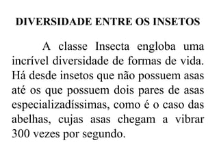 DIVERSIDADE ENTRE OS INSETOS

      A classe Insecta engloba uma
incrível diversidade de formas de vida.
Há desde insetos que não possuem asas
até os que possuem dois pares de asas
especializadíssimas, como é o caso das
abelhas, cujas asas chegam a vibrar
300 vezes por segundo.
 