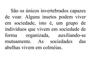 São os únicos invertebrados capazes
de voar. Alguns insetos podem viver
em sociedade, isto é, um grupo de
indivíduos que vivem em sociedade de
forma     organizada,     auxiliando-se
mutuamente. As sociedades das
abelhas vivem em colméias.
 
