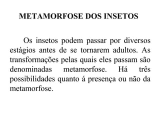 METAMORFOSE DOS INSETOS


    Os insetos podem passar por diversos
estágios antes de se tornarem adultos. As
transformações pelas quais eles passam são
denominadas metamorfose. Há três
possibilidades quanto á presença ou não da
metamorfose.
 