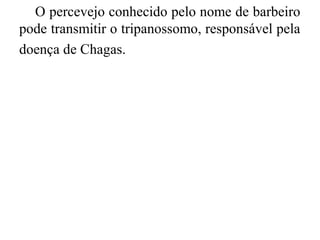 O percevejo conhecido pelo nome de barbeiro
pode transmitir o tripanossomo, responsável pela
doença de Chagas.
 