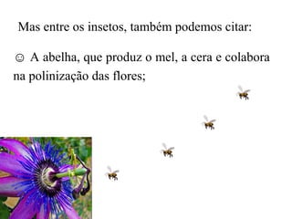 Mas entre os insetos, também podemos citar:

☺ A abelha, que produz o mel, a cera e colabora
na polinização das flores;
 