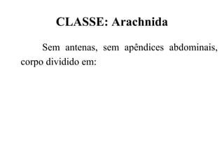 CLASSE: Arachnida
     Sem antenas, sem apêndices abdominais,
corpo dividido em:
 