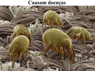 Causam doenças
 
