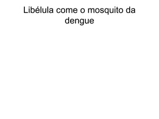 Libélula come o mosquito da
           dengue
 