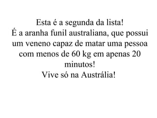 Esta é a segunda da lista!
É a aranha funil australiana, que possui
um veneno capaz de matar uma pessoa
  com menos de 60 kg em apenas 20
                minutos!
        Vive só na Austrália!
 