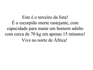 Este é o terceiro da lista!
   É o escorpião morte rastejante, com
 capacidade para matar um homem adulto
com cerca de 70 kg em apenas 15 minutos!
        Vive no norte de África!
 